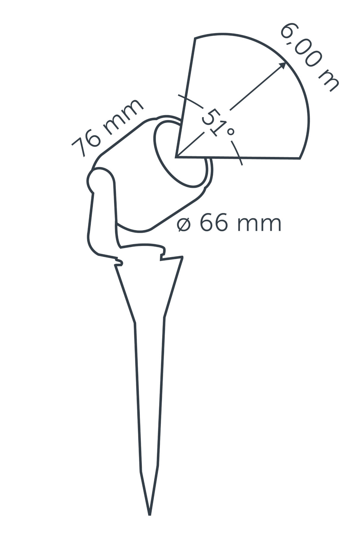 BIG SCOPE