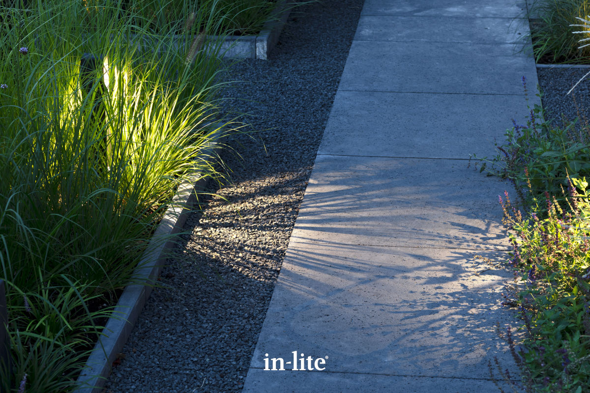 ACE HIGH CORTEN