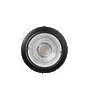 BIG FLUX