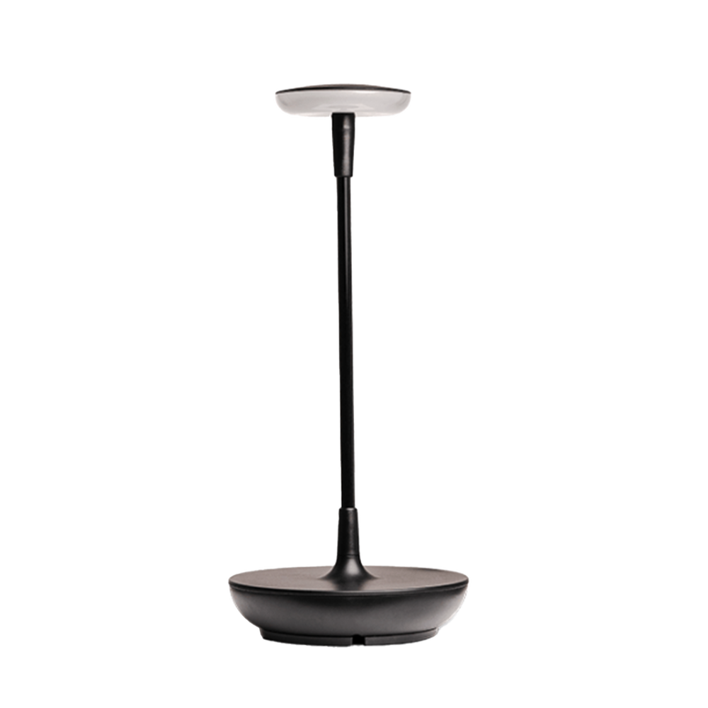 SWAY TABLE