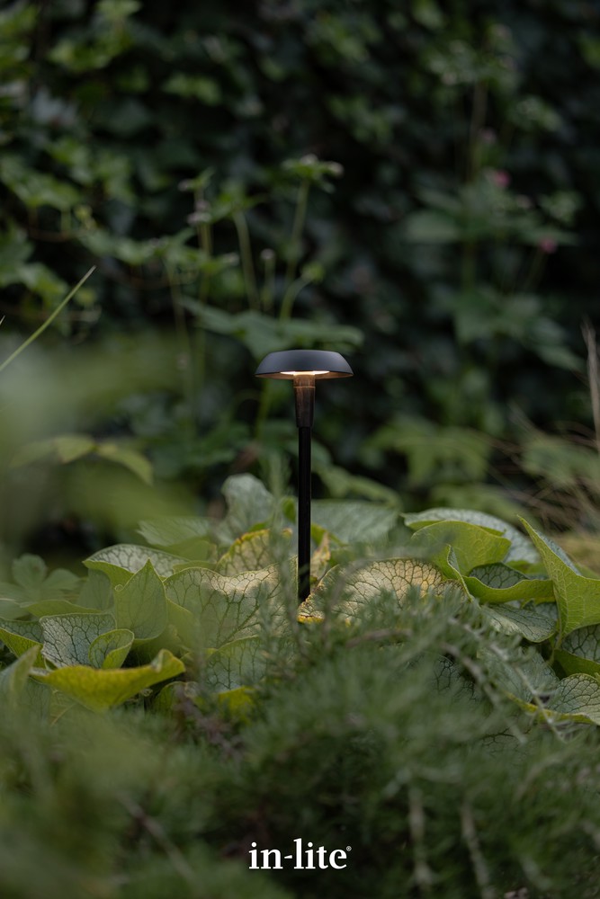 (MINI) SWAY CAP